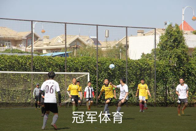 冠军(CHAMPION)官方网站 - 行业领先的体育数据平